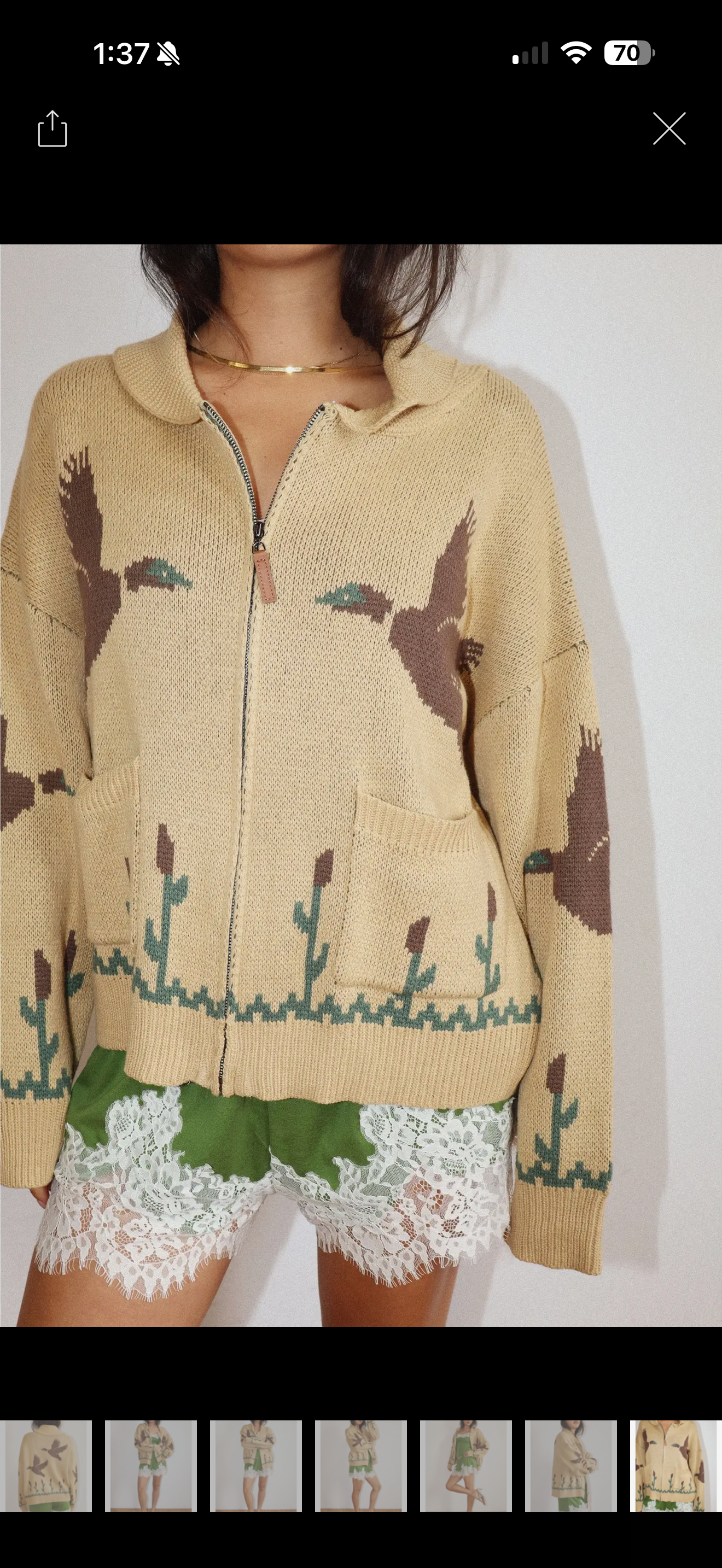 Josie Cardi