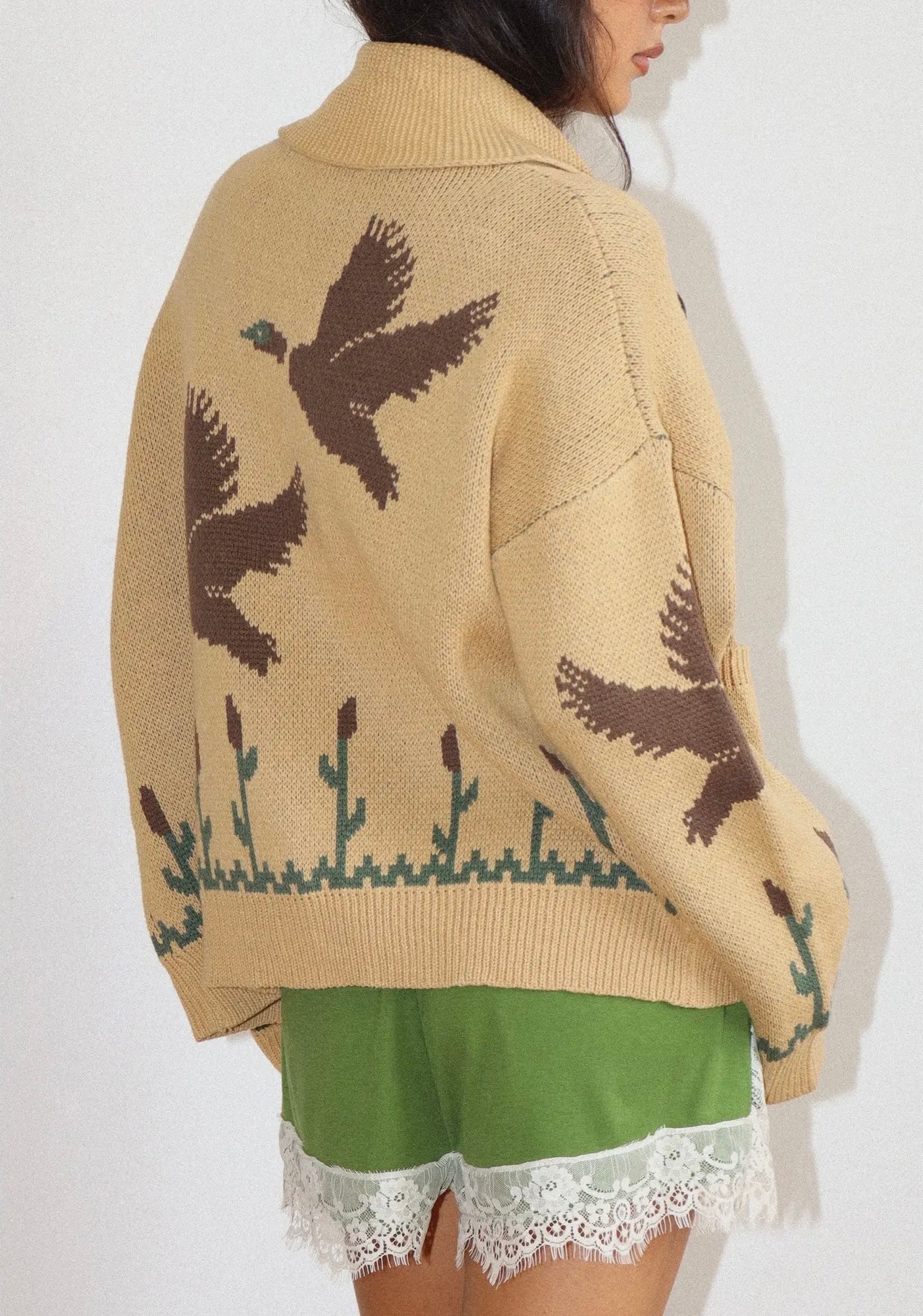 Josie Cardi
