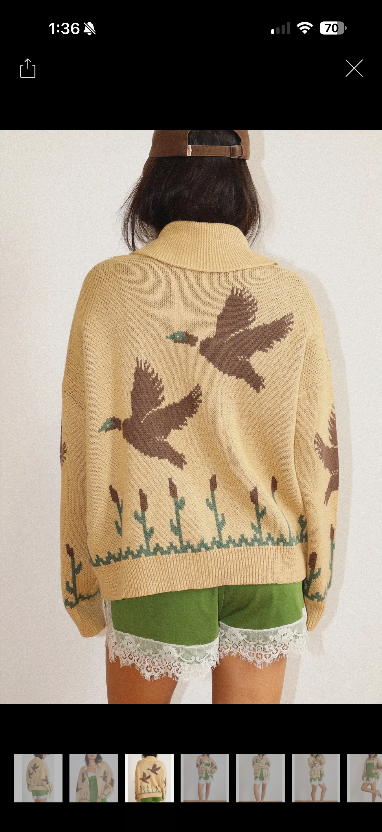 Josie Cardi