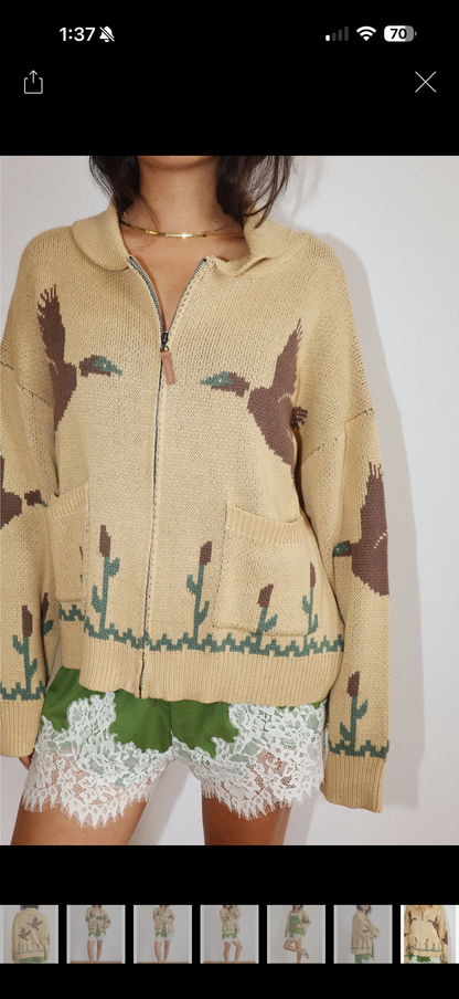 Josie Cardi